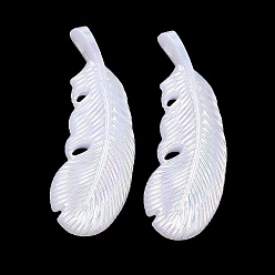 Морская Ракушка Акриловые подвески с имитацией ракушек, прелести из перьев, цвет морской раковины, 45x16x5 мм, отверстие : 3 мм, Около 284 шт / 500 г