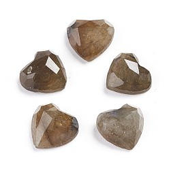 Лабрадорита Природные кабошон лабрадора, сердце, граненые, 8x8x3.5 мм