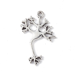 Античное Серебро Сплавочные подвески тибетского стиля, шарм мозгового нейрона, античное серебро, 33x21.5x2 мм, отверстие : 1.8 мм