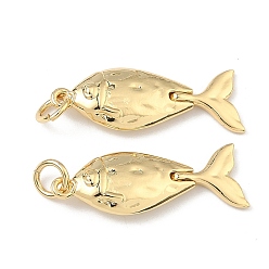 Настоящее золото 18K Латунные подвески, рыбы прелести, без кадмия и без свинца, долговечный, стойки покрытие, реальный 18 k позолоченный, 24.5x8.5x3 мм, Перейти кольцо: 5x0.8 мм, внутренний диаметр: 3 мм