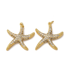 Морская звезда Латунные микро проложить кубического циркония подвески, морские животные, с целью перехода в кольце, стойки покрытие, долговечный, без свинца и без кадмия, реальный 18 k позолоченный, морская звезда, 27x26x4 мм, отверстие : 3.5 мм