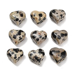 Dalmatian Jasper Natural Dalmatian Jasper Beads, Heart, 9~10x10~10.5x7~8mm, Hole: 1.4mm