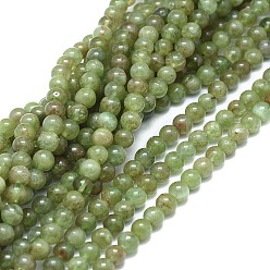 Apatite Natural Apatite Beads Strands, Round, 4mm, Hole: 0.7mm, about  93pcs/strand, 15.75 inch(40cm)