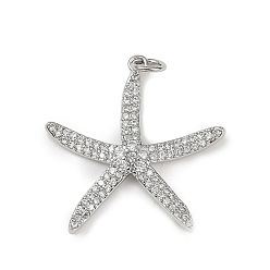 Платина Латунные микро проложить кубического циркония подвески, без кадмия и без свинца, морская звезда, с целью перехода в кольце, платина, 26x25.5x3 мм, отверстие : 3.2 мм