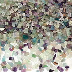 Fluorite 450G Natural Fluorite Beads, No-hole/Undrilled, Chip, 1~13x1~9x0.5~6mm, about 3150pcs/450g