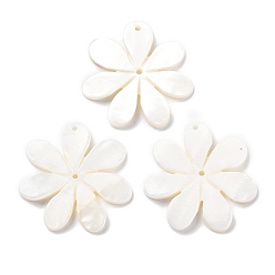 Пресноводная Раковина Природные подвески оболочки пресноводных, цветочный шарм, цветочный белый, 35.5x35.5x3 мм, отверстие : 1.6 мм