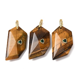 Tiger Eye Natural Tiger Eye Pendants, Others, Golden, 40~40.5x20.5~21x9.5~10mm, Hole: 6x6.5mm