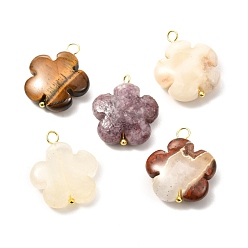 Mixed Stone Natural Mixed Gemstone Pendants, with Golden Brass Findings, Flower, 24x20x7.5mm, Hole: 3x2.5mm