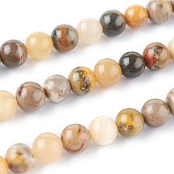 Bumblebee Jasper Natural Bumblebee Jasper Beads Strands, Round, 8mm, Hole: 1.2mm, about 50pcs/strand, 15.59 inch(39.6cm)