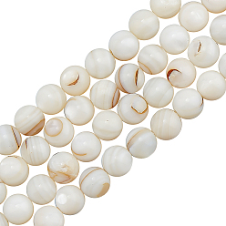 Floral White 3 Strands Natural Freshwater Shell Beads Strands, Round, Floral White, 7~7.5mm, Hole: 1mm, about 56pcs/strand