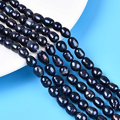 Прусский Синий Нити из натурального культивированного пресноводного жемчуга, рис, окрашенные, берлинская лазурь, 4~11x4~6x4~6 мм, отверстие : 0.5~0.8 мм, около 53~54 шт / нитка, 13.98~14.17'' (35.5~36 см)