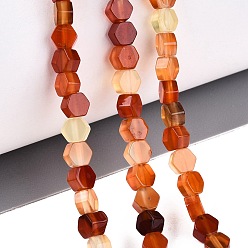 Cornaline Perles naturelles cornaline brins, hexagone, 3.5~4x4~4.5x2~3.5mm, Trou: 0.5~0.6mm, Environ 95~104 pcs/chapelet, 15.16~15.94 pouce (38.5~40.5 cm)