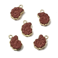 Сиена Подвески из окрашенного синтетического лавового камня, Подвески в форме раковины с латунной окантовкой, золотые, цвет охры, 20~21x13.5~14x7 мм, отверстие : 2 мм