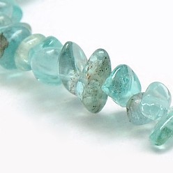 Apatite Natural Apatite Chip Beads Strands, 3~5x3~5mm, Hole: 1mm, about 32 inch