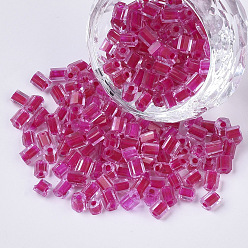 Camellia 6/0 Two Cut Glass Seed Beads, Hexagon, Transparent Inside Colours Rainbow, Camellia, 3.5~5x3.5~4mm, Hole: 1mm, about 4500pcs/bag