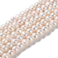 PapayaWhip Natural Cultured Freshwater Pearl Beads Strands, Potato, Grade 3A+, PapayaWhip, 7~8x6~7mm, Hole: 0.7mm, about 58pcs/strand, 15.55''(39.5cm)
