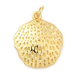 Настоящее золото 18K Латунные подвески, формы раковины, долговечный, без свинца и без кадмия, стойки покрытие, с целью перехода в кольце, реальный 18 k позолоченный, 19.5x16.5x3.5 мм, отверстие : 3.5 мм