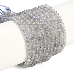 Лабрадорита Природные лабрадорита бисер нитей, граненые, рондель, 4x3 мм, отверстие : 0.8 мм, около 131~134 шт / нитка, 15.16''~15.35'' (38.5~39 см)