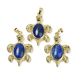 Ляпис-Лазурь Подвески из окрашенного натурального лазурита и латуни, окрашенные, стойки покрытие, без кадмия и без свинца, в форме морской черепахи, 38x27.5x7 мм, отверстие : 8x5 мм