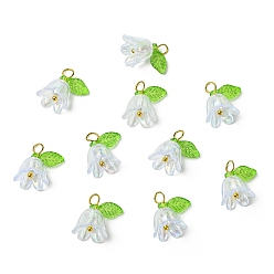 Clair Pendentifs acryliques transparents , avec les accessoires en laiton, fleur, clair, 15mm, Trou: 3mm