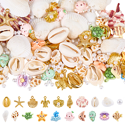 Couleur Mélangete Faire soi-même des kits de recherche, y compris 50g perles de coquillage, 6 pièces de coquillages naturels, 2 sacs de perles en coquillage, 10pcs perles en plastique ccb, 30 pendentifs en alliage pcs, 100 pièces de perles en plastique et 20 pièces de cabochons en résine, couleur mixte, 10~70x6.2~33x2~10mm