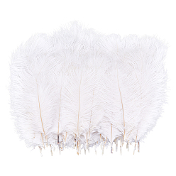 White 72Pcs 3 Styles Ostrich Feather Craft for Wedding Party Centerpieces Home Decoration, DIY Craft, White, 195~280x105~130x1.5~2.5mm, 24pcs/style