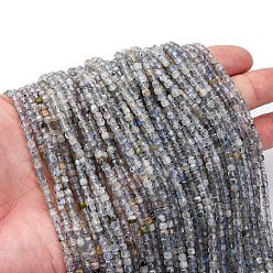 Лабрадорита Природные лабрадорита бисер нитей, кубические, граненые, 3x3x3 мм, отверстие : 0.7 мм, около 138 шт / нитка, 15.55'' (39.5 см)