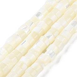 Фламинго Натуральные бусины из ракушек трохуса, Плоский круглый / диск, Heishi бусы, граненые, фламинго, 3.5~4x2~2.5 мм, отверстие : 0.8 мм, около 171~173 шт / нитка, 16.14~16.38'' (41~41.6 см)