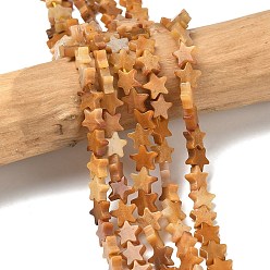 Топаз Нефрит Природный Топаз нефрита бисер нитей, звезда, 6x6x2 мм, отверстие : 0.7 мм, около 72 шт / нитка, 14.96'' (38 см)