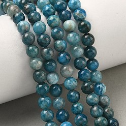 Апатит Природного апатита нитей бисера, круглые, 6~7 мм, отверстие : 0.8 мм, около 64 шт / нитка, 15.35'' (39 см)