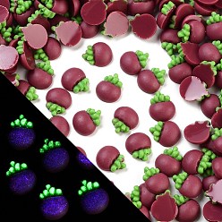 Mangosteen Светящаяся смола декодирует кабошоны, светящиеся в темноте фрукты, мангустин, 10x7.5x3.5 мм