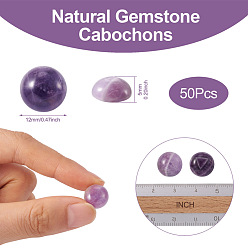 Amethyst Natural Amethyst Cabochons, Half Round/Dome, 12x5mm