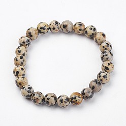 Dalmatian Jasper Natural Dalmatian Jasper Stretch Bracelets, Round, 51mm(2 inch), Bead: 8~8.5mm in diameter.
