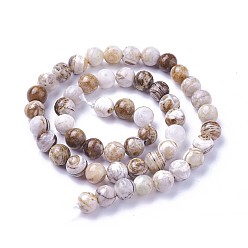 Деревянное Окаменение Натуральная америка окаменелая древесина бус пряди, круглые, 8 мм, отверстие : 1.2 мм, около 46~47 шт / нитка, 14.8 дюйм ~ 15.51 дюйм (37.7~39.4 см)