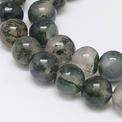 Морско-зеленый Природные моховой агат бисер нитей, круглые, цвета морской волны, 6 мм, отверстие : 1 мм, около 63 шт / нитка, 15.5 дюйм