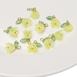 Желтый 2ПК акриловый искусственный жемчуг, подвески в форме колокольчика и орхидеи, с железной фурнитурой золотого цвета, желтые, 14x11 мм