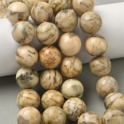 Полевой Шпаты Натуральный полевой шпат, круглые, 15.5 мм, отверстие : 1.2 мм, около 24~25 шт / нитка, 14.88~15.43'' (37.8~39.2 см)