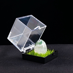 Мосс Агат Натуральный моховой агат, целебное яйцо, коробка для образцов минералов, Необработанный камень Рейки для балансировки энергии, медитационной терапии, 20x17 мм