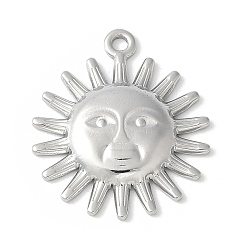 Нержавеющая Сталь Цвет 304 подвески из нержавеющей стали, очарование солнца, цвет нержавеющей стали, 22.5x18.5x2.5 мм, отверстие : 1.6 мм