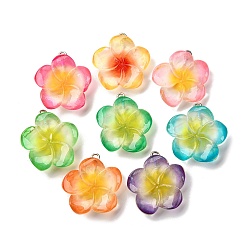 (52) Непрозрачная лаванда Подвески из прозрачной смолы, красный жасмин, с железной платиной петлей, разноцветные, 26~26.5x24~26x7~8 мм, отверстие : 2 мм