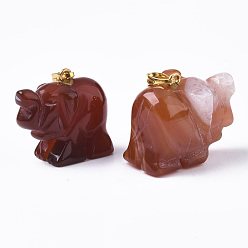 Шоколадный Природные подвески агат, с позолоченным металлом (случайная поставка из латуни или железа) на защелках, окрашенные, слон, цвет шоколада, 17~19x20~22.5x11.5~12.5 мм, отверстие : 2.5x6 мм