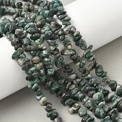 Другие Нефриты Природного нефрита нитей бисера, чип, 1.5~6x6~11.5x4~7.5 мм, отверстие : 0.7 мм, около 232~240 шт / нитка, 30.71''~32.68'' (78~83 см)