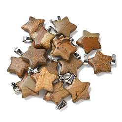 Пейзажный Джаспер Естественного изображения яшмы подвески, подвески-звезды 201 с защелками из нержавеющей стали, цвет нержавеющей стали, 22x20x6 мм, отверстие : 3x5.5 мм