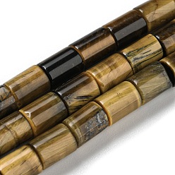 Тигровый глаз Природных тигровый глаз бисер нитей, колонка, 7.5~8x6 мм, отверстие : 1.2 мм, около 48~50 шт / нитка, 15.16''~15.31'' (38.5~38.9 см)