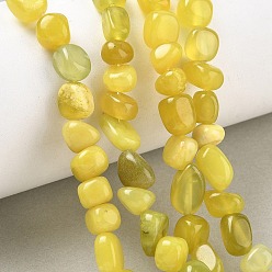 Olive Jade Naturelles d'olive jade perles brins, nuggets, pierre tombée, 6~8.5x6~7.5x5~8mm, Trou: 0.9mm, Environ 27~35 pcs/chapelet, 9.84~11.02'' (25~28 cm)