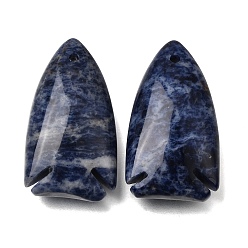 Sodalite Natural Sodalite Pendants, Fish Charms, 39~40x22x12mm, Hole: 2mm