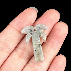 Лабрадорита Природные подвески лабрадорита, кокосовая пальма, 28x18~22 мм