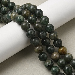 Апатит Естественный зеленый апатит бисер нити, круглые, 10 мм, отверстие : 1.2 мм, около 39~41 шт / нитка, 14.84''~15.83'' (37.7~40.2 см)