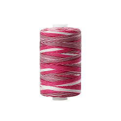 Colorful Polyester Sewing Thread, for Hand & Machine Sewing, Segment Dyed, Embroidery, Colorful, 0.4mm, 1000yard/roll.