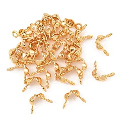 Chapado en Oro Real 18K Puntas de cuentas de latón Shegrace, termina la calota, cubierta de nudo de concha, sin cadmio y níque y plomo, larga duración plateado, real 18 k chapado en oro, 6.5x3 mm, agujero: 1.2 mm y 1 mm